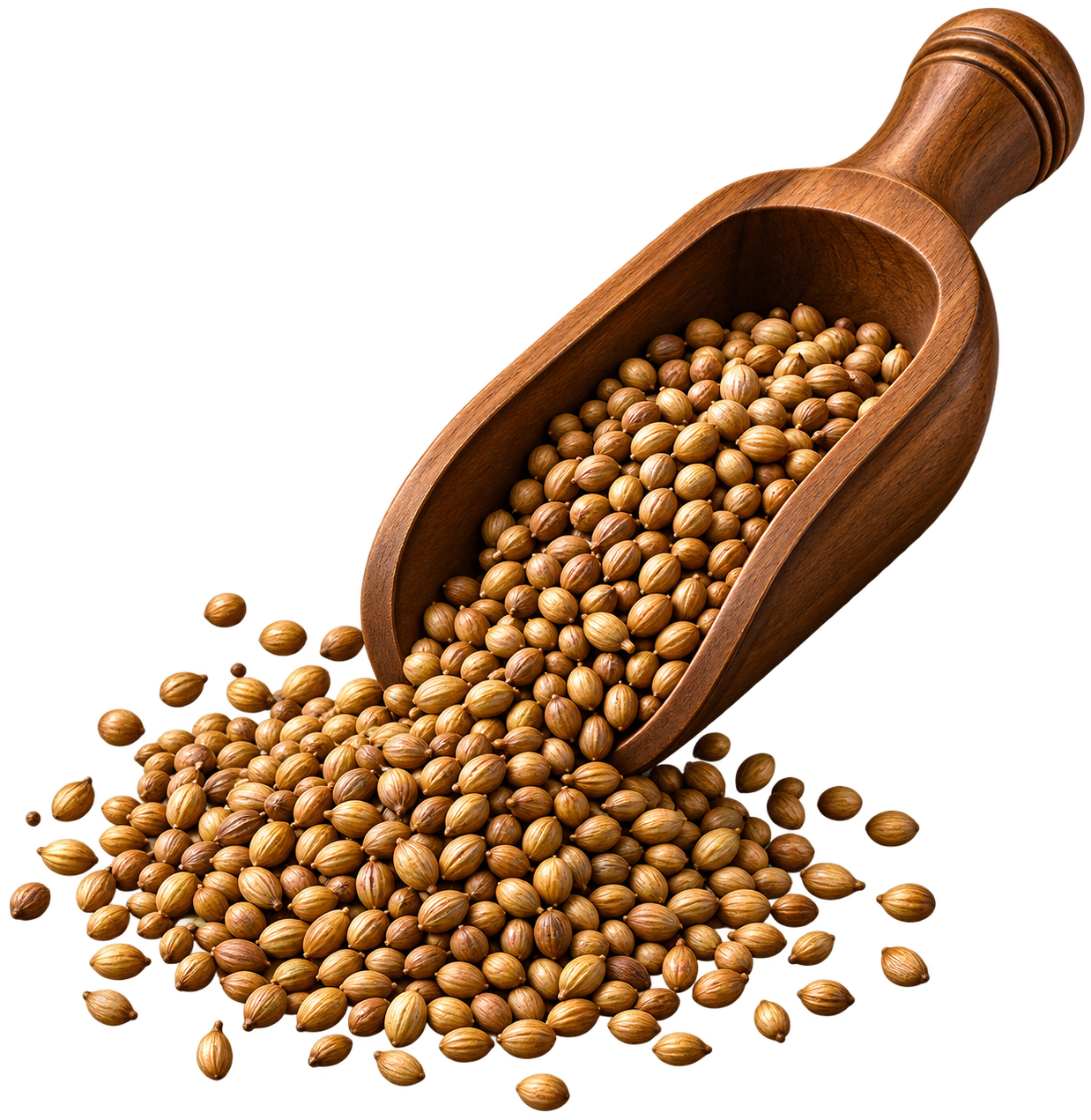 Seeds